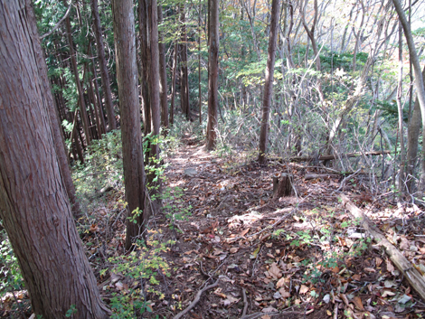 20171102hike (101)